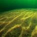 Песок